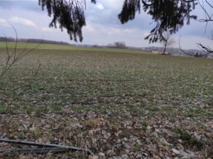 Otwarty teren, przez który próbowali przedrzeć się uczestnicy akcji.