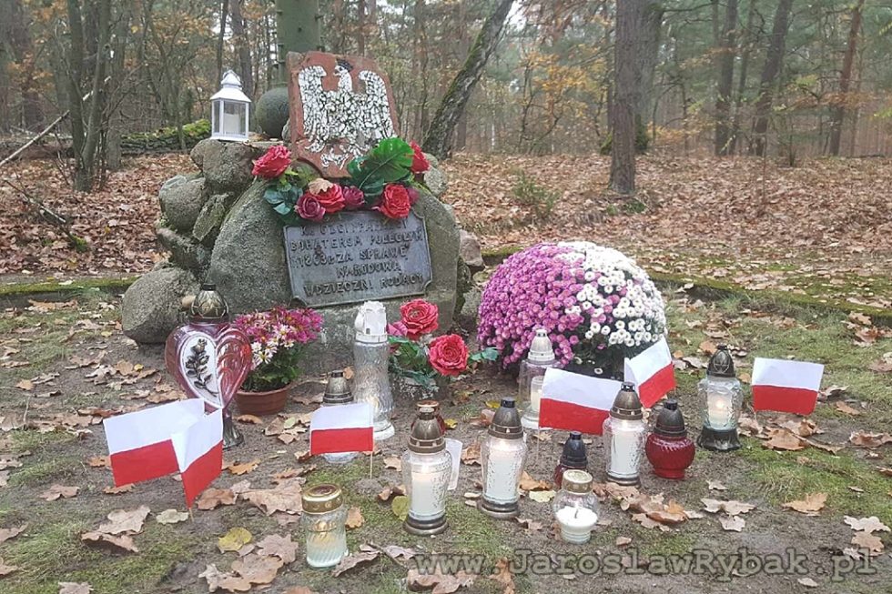 Kamień przy Krzyżu Powstańczym w Puszczy Kampinoskiej.