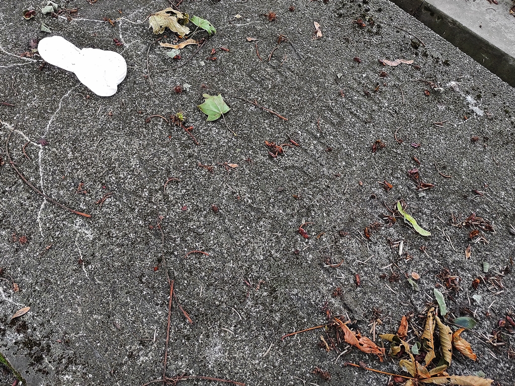 Grób Kazimierza Junoszy-Stępowskiego jest coraz bardziej zaniedbany. Jeszcze przed dekadą można było odczytać napisy upamiętniające pochowanych. Obecnie trzeba się ich tylko domyślać i opierać na starych fotografiach. Fot. Jarosław Rybak